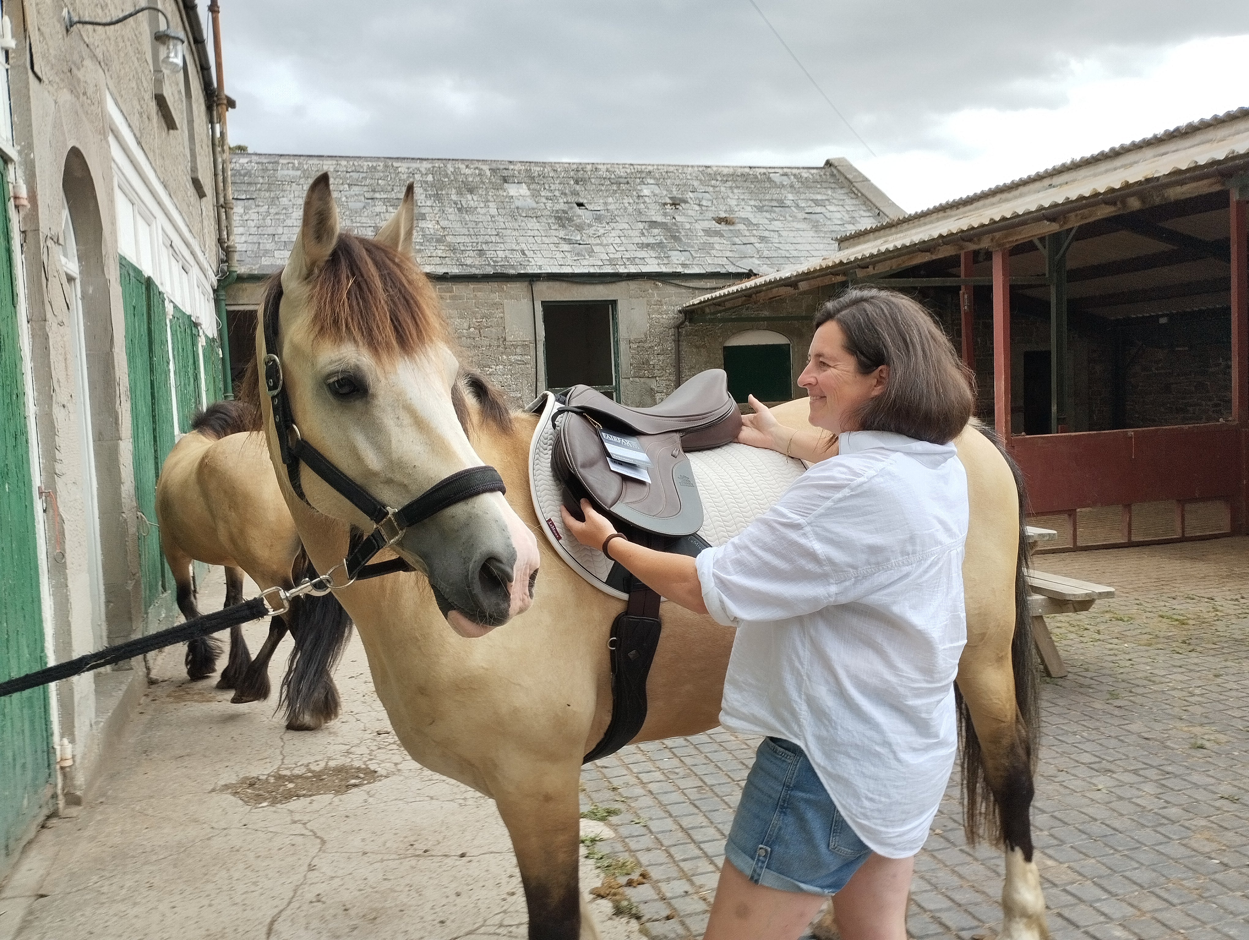 What Really Happens at a Professional Saddle Fitting?