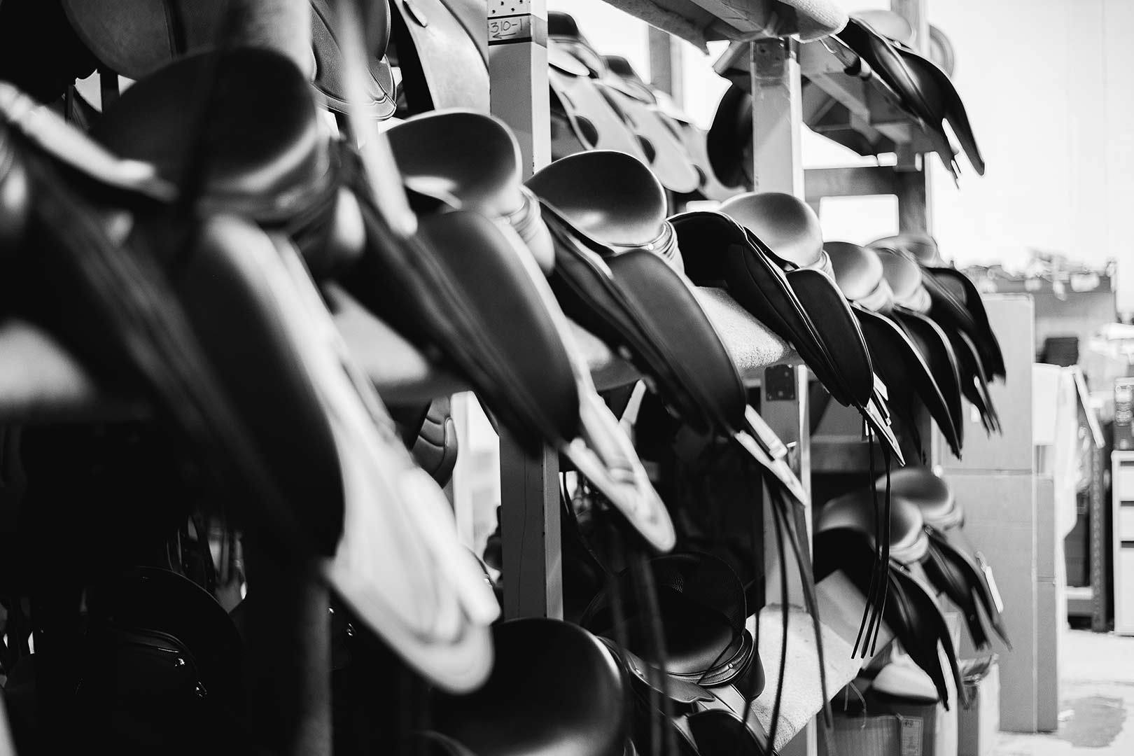 Albion Saddles: The Art of a Custom Saddle