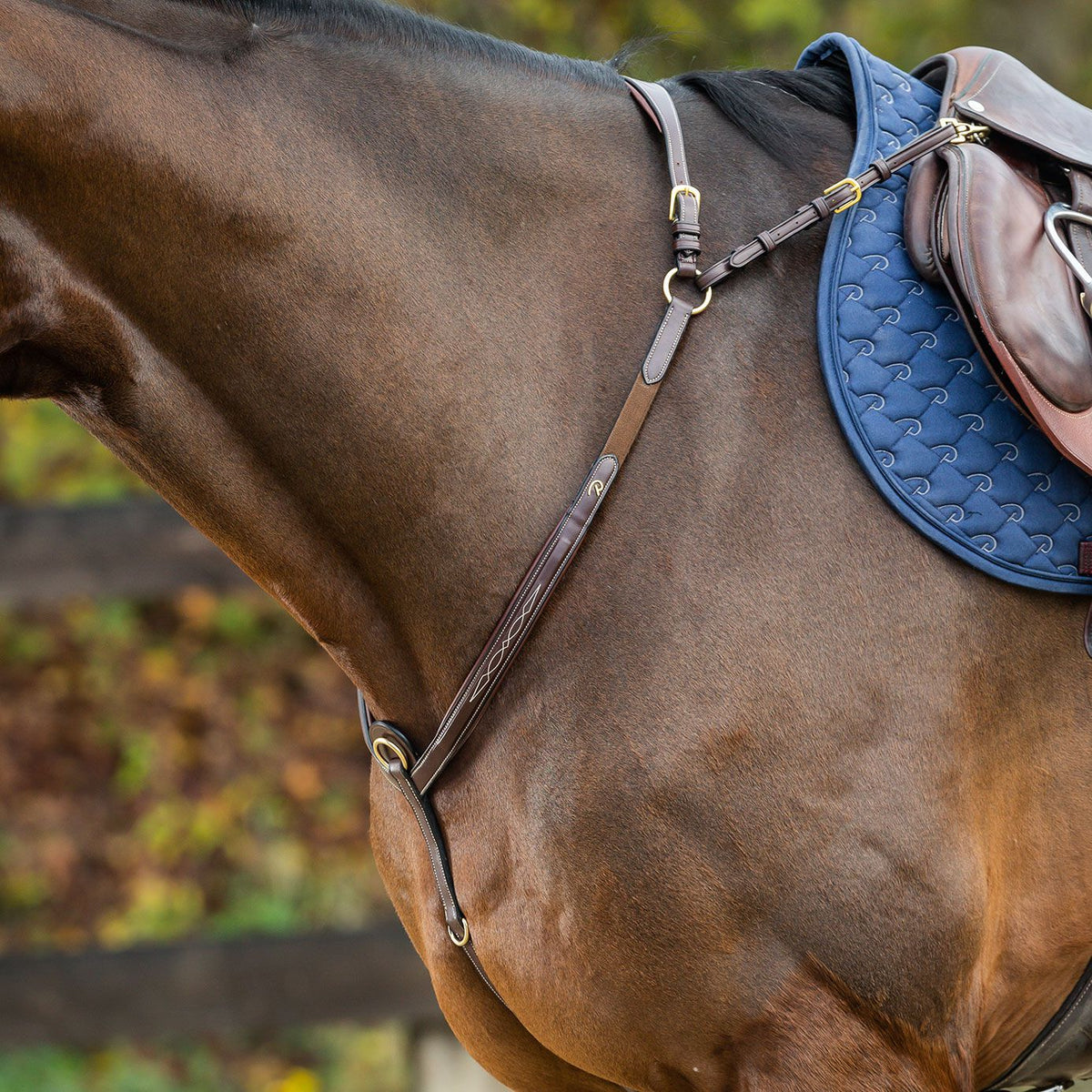 Breastplates Bridging Functionality & Comfort Saddle Up & Ride