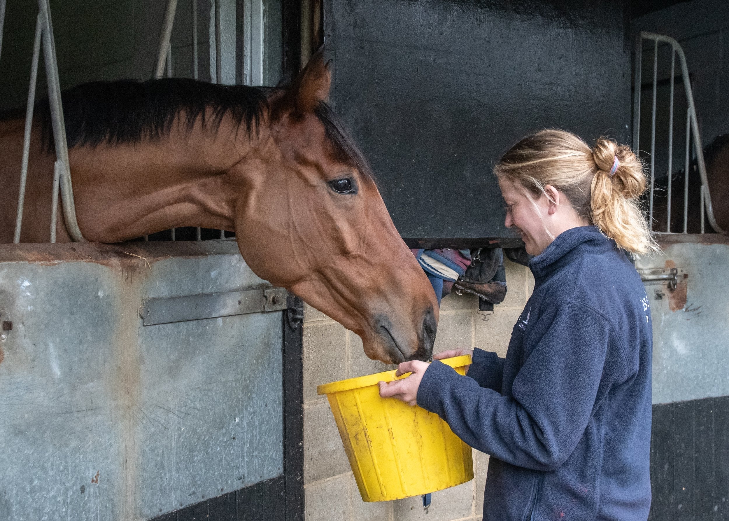 All About Supplements