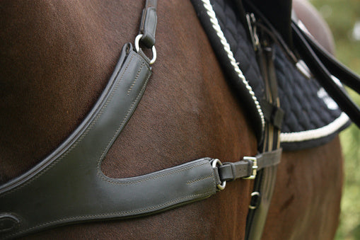 Will a breastplate stop my saddle slipping? (Science Explained)