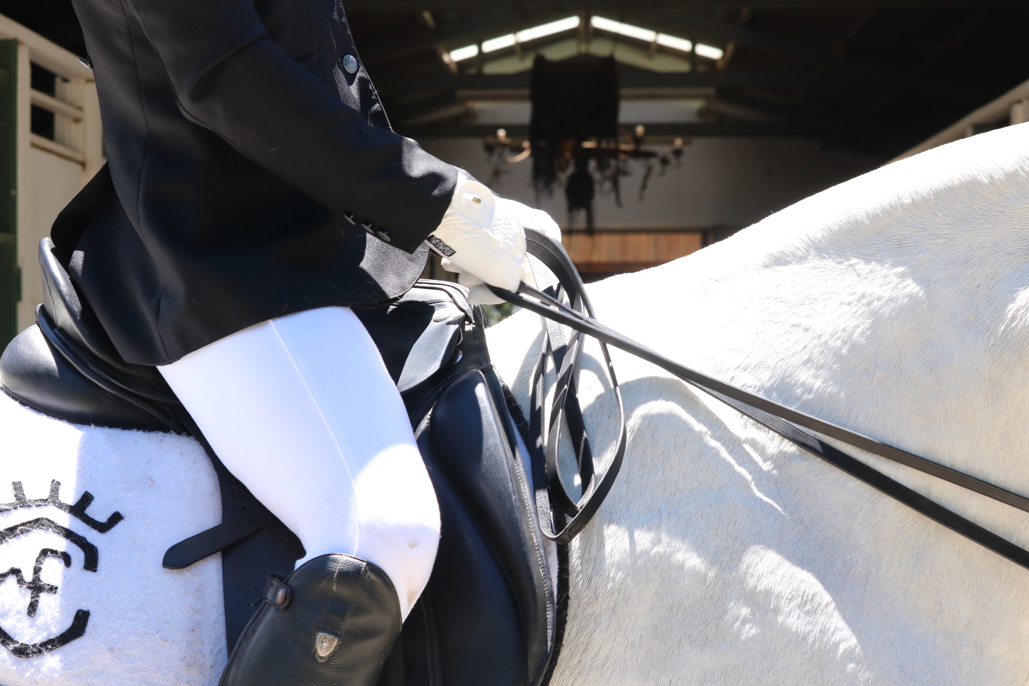 What are gloves used for in horse riding? (Updated 2022)