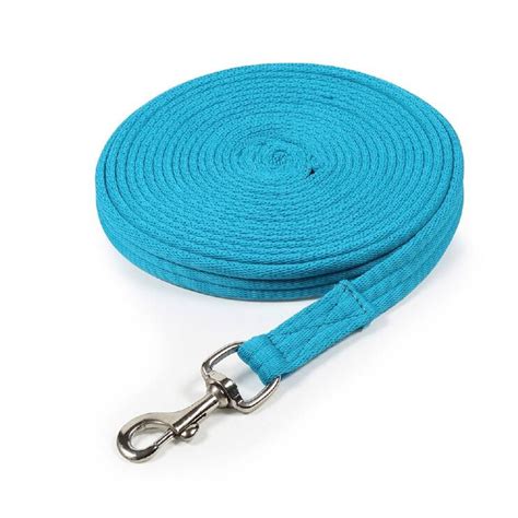 What is A Horse Lead Rope Used For? (The Complete Guide) – Saddle Up & Ride
