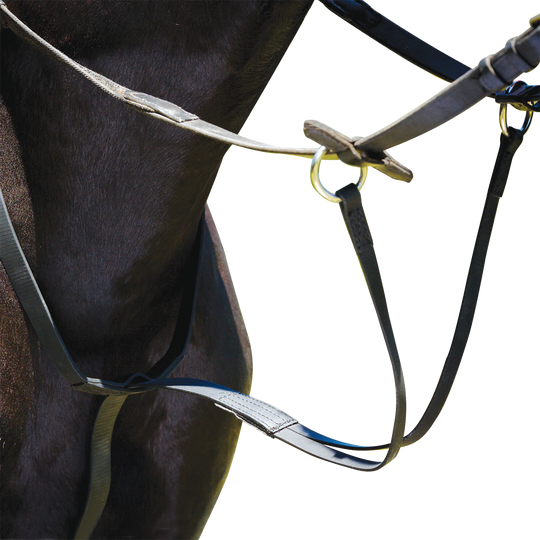 WINTEC | Running Martingale