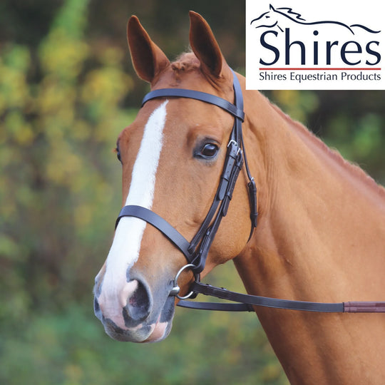 Shires Aviemore Plain Bridle Mini - Havana