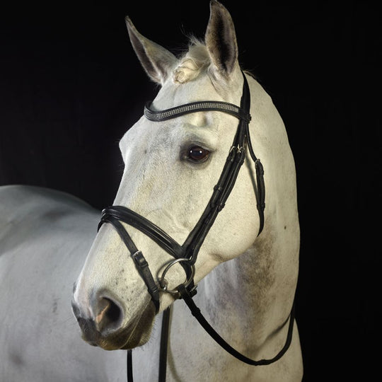 GFS |  Monarch Flash Bridle