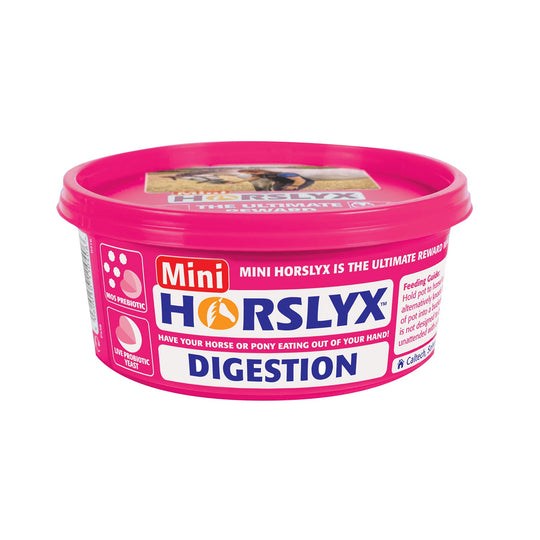 horslyx mini digestion