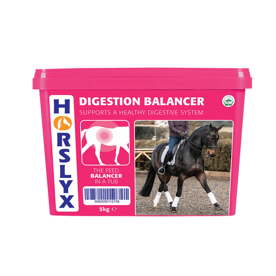 HORSLYX DIGESTION BALANCER LICK