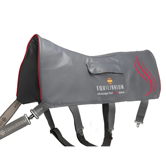 Equilibrium Heat sense Massage pad