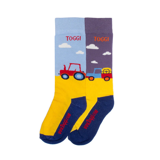 Toggi Lawrence Childrens 2 Pack Socks