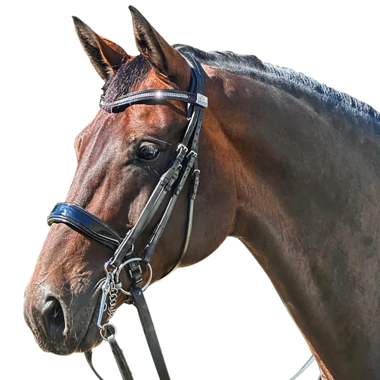 FAIRFAX |  Complete Double Bridle with Patent Cavesson Noseband and Browband