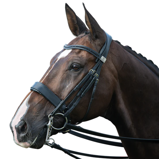 FAIRFAX | Complete Double Bridle with Cavesson Noseband