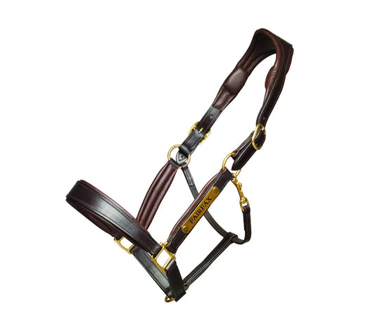 FAIRFAX | Rio Headcollar