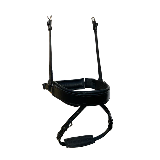 FAIRFAX | Separate Flash