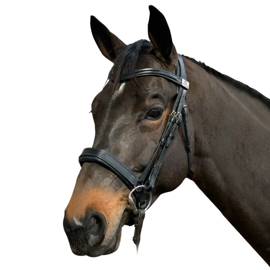 FAIRFAX | Complete Snaffle Bridle with Narrow Cavesson Noseband