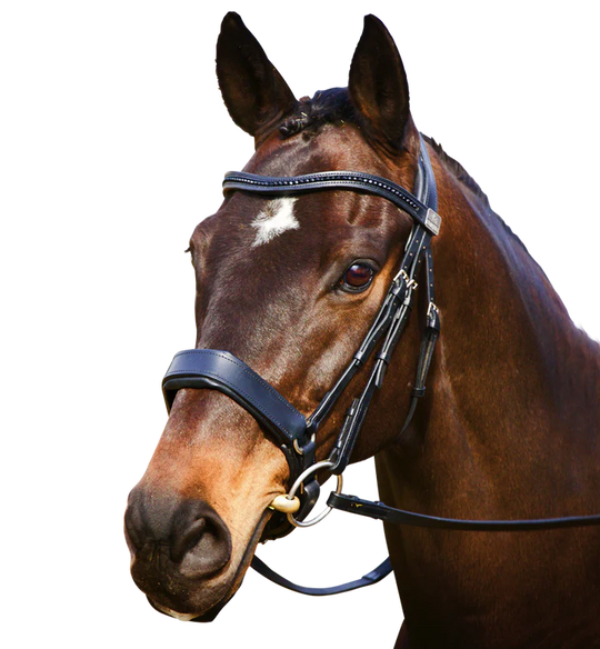 FAIRFAX |  Complete Snaffle Bridle with Cavesson Noseband