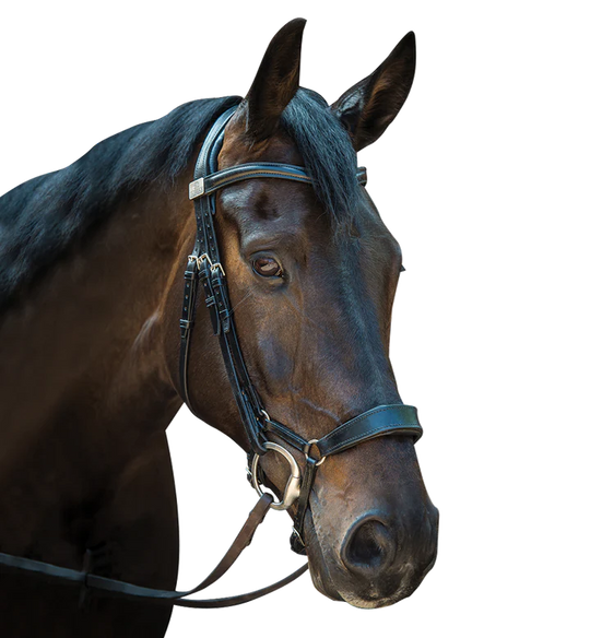 FAIRFAX | Complete Snaffle Bridle with Drop Noseband