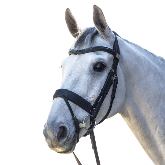 FAIRFAX | Complete Snaffle Bridle with Flash Noseband