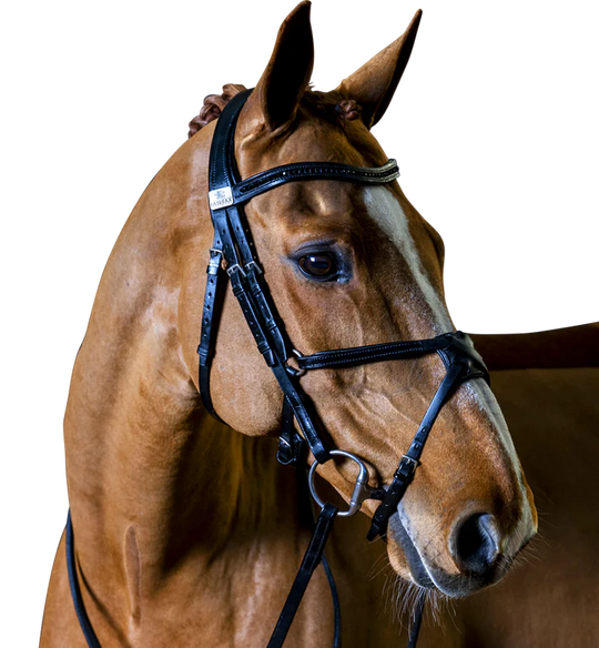 FAIRFAX | Complete Snaffle Bridle with Grackle Noseband