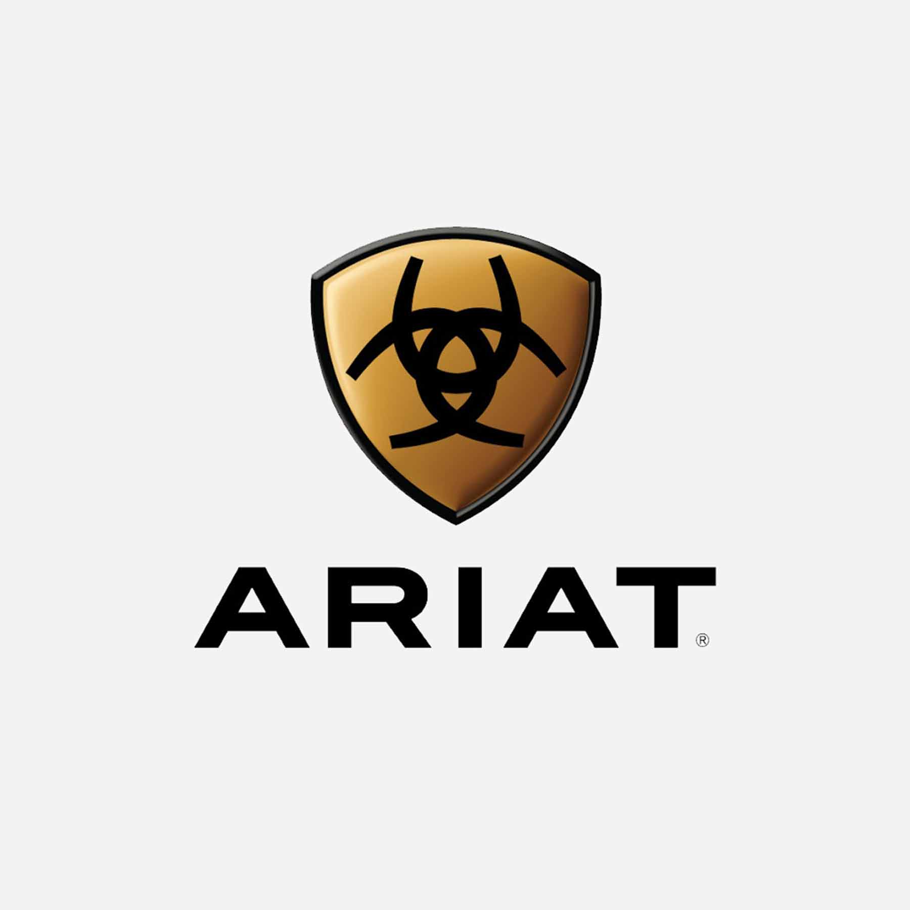 Ariat | Concord Chaps | Black