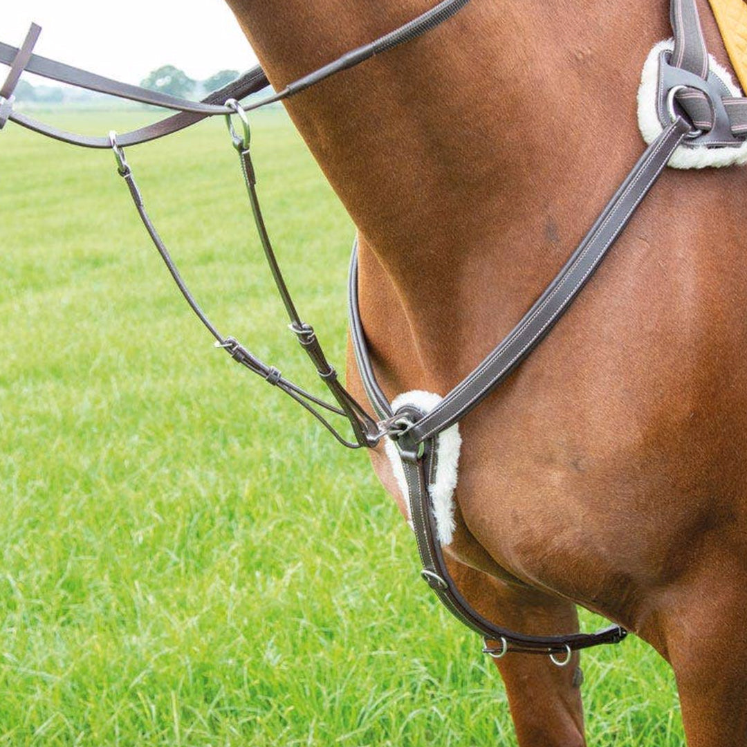 Shires Avignon 5 Point Leather Breastplate