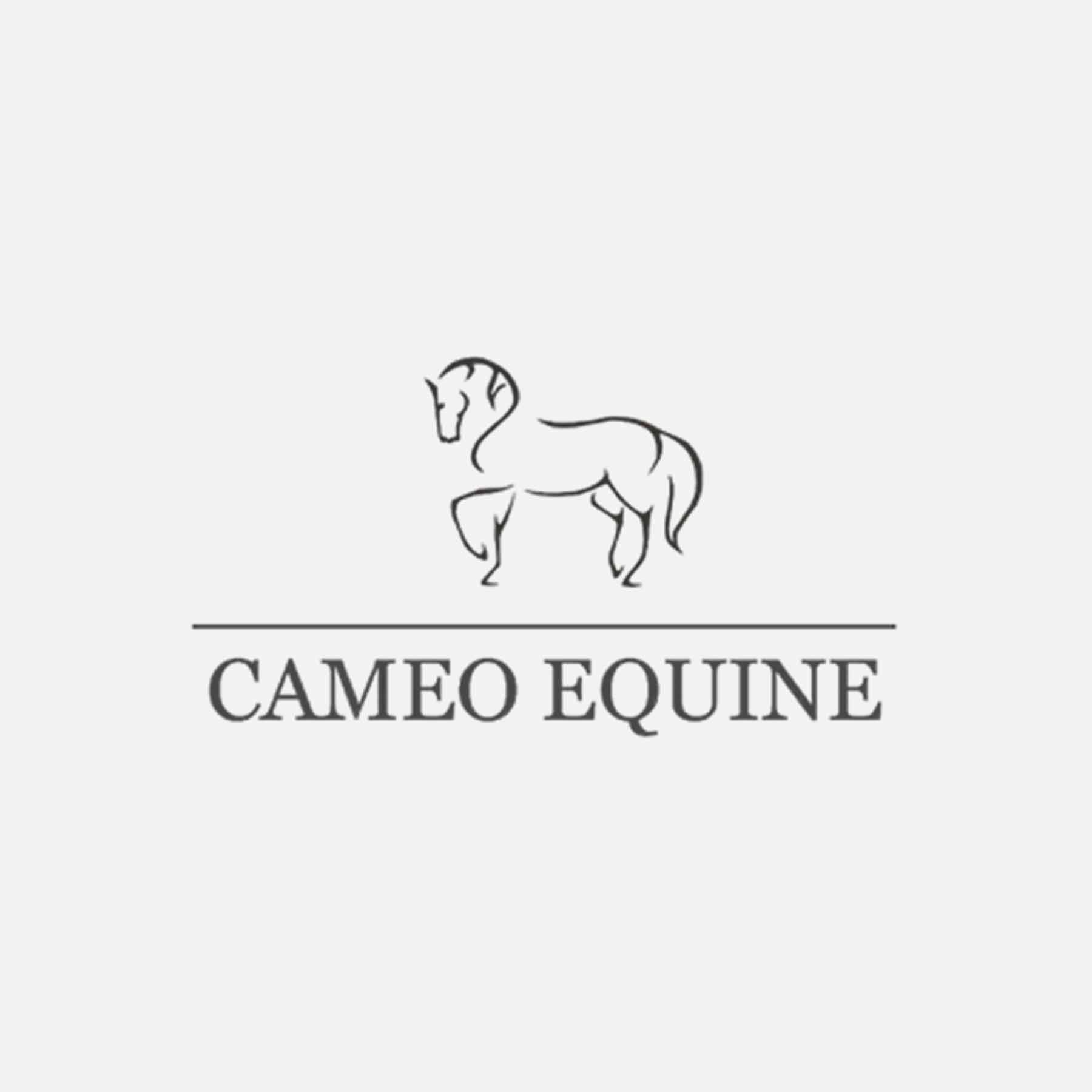 Cameo Equine Denim Riding Tights