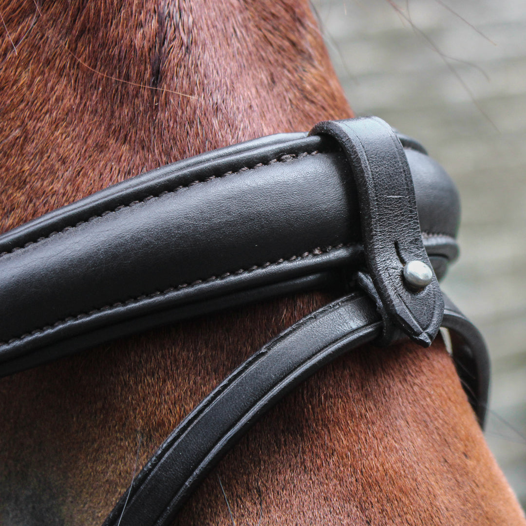 Close up of the soft leather noseband on the ecolux bridle