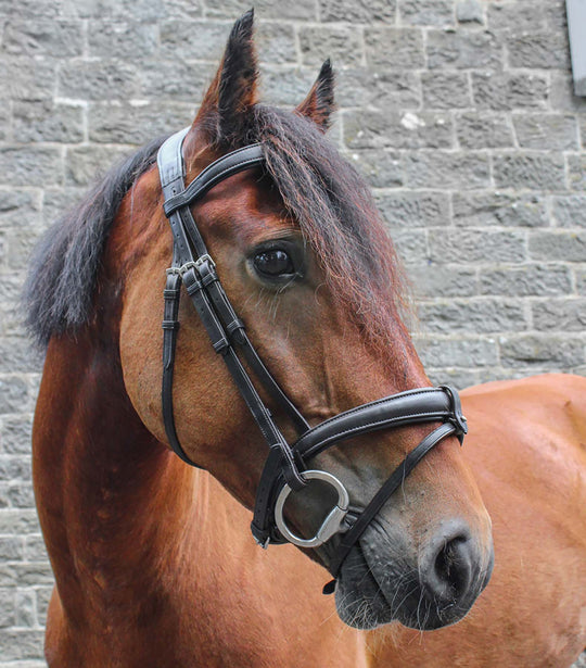 Eco Rider Ecolux Bridle