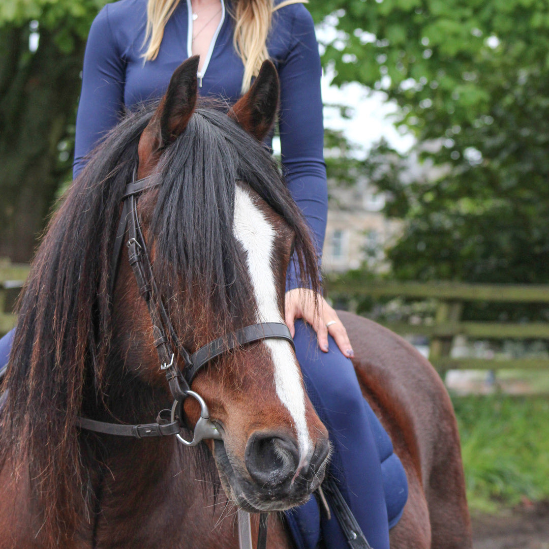 Horse wears the Eco rider exercise bridle 