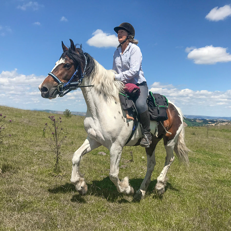 Rider cantering whilst horse wears the Freerein equipment expedition saddle bags