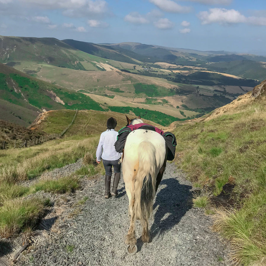 View of the back of a horse wearing the Freerein equipment expedition saddle bags