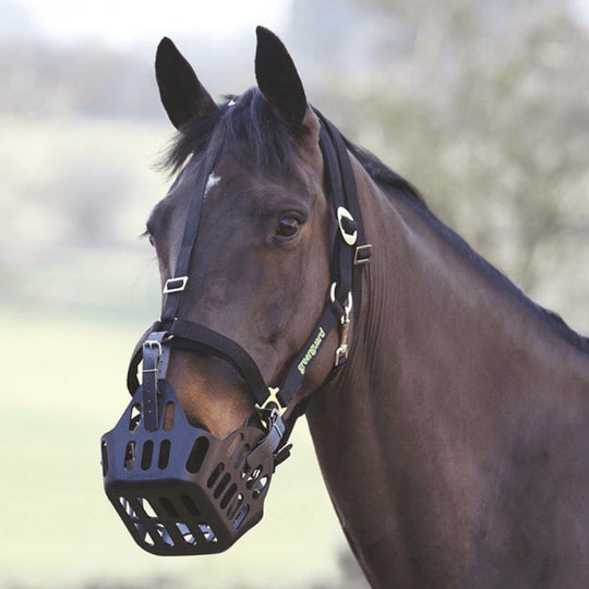Greenguard Headcollar
