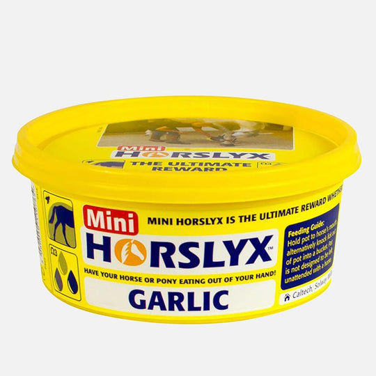 Horslyx Garlic Balancer (650g)