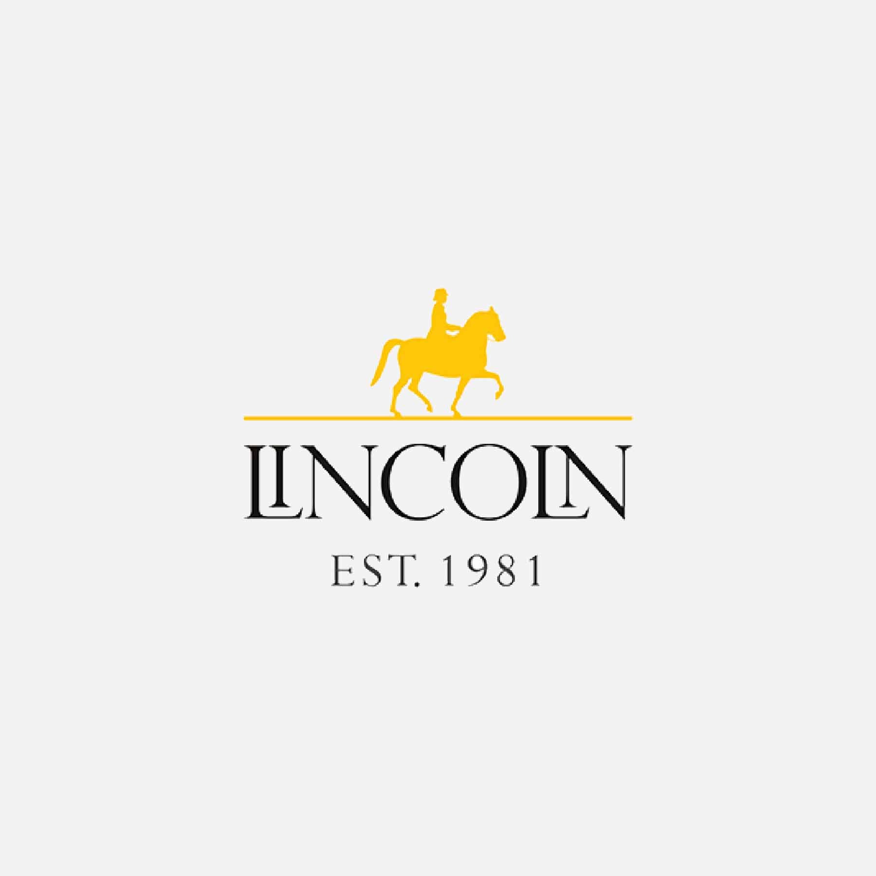 Lincoln Dogbone Sponge