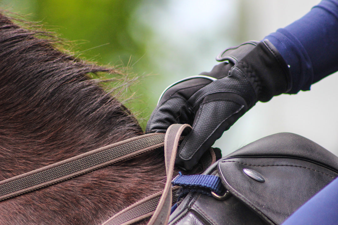 Rider holds the reins whilst wearing the Just chaps waterproof gloves in black