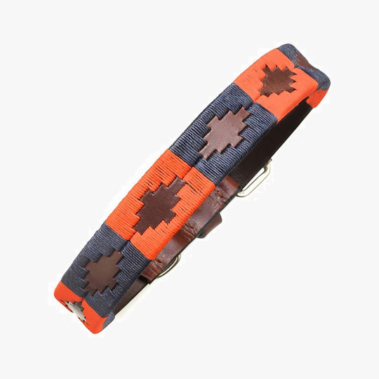 Pampeano Dog Collar, Audaz