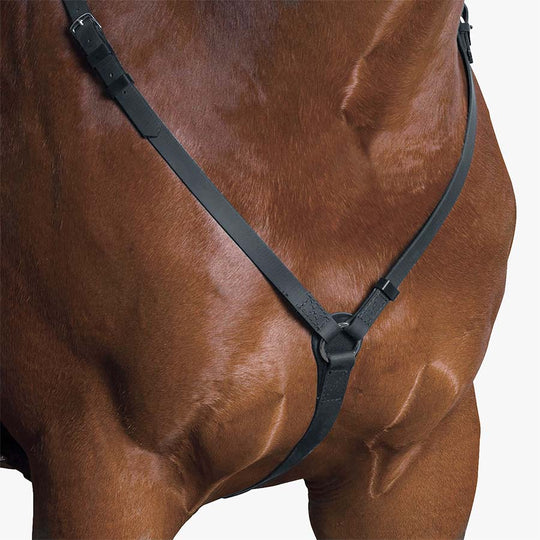 WINTEC | Breastplate
