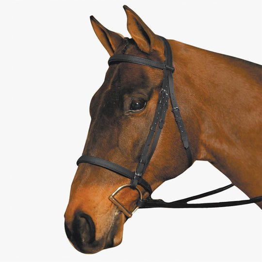 WINTEC | Bridle